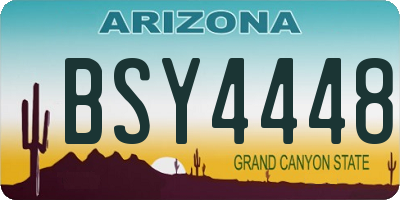 AZ license plate BSY4448
