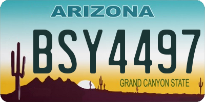 AZ license plate BSY4497