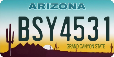 AZ license plate BSY4531