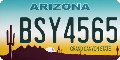 AZ license plate BSY4565