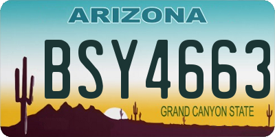 AZ license plate BSY4663