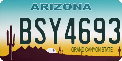 AZ license plate BSY4693