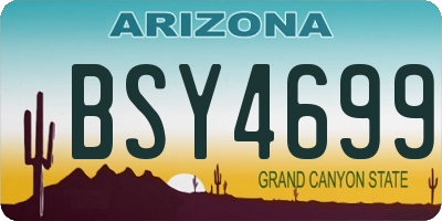 AZ license plate BSY4699
