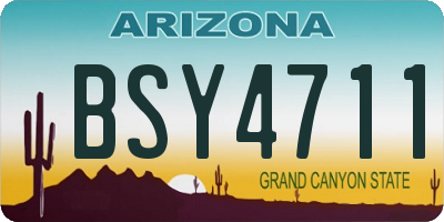 AZ license plate BSY4711