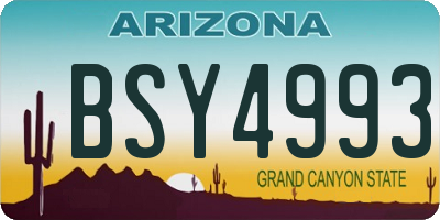 AZ license plate BSY4993