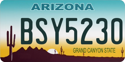 AZ license plate BSY5230