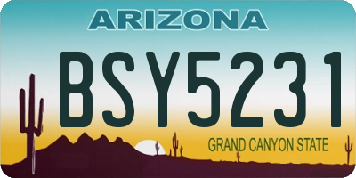 AZ license plate BSY5231