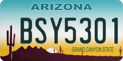 AZ license plate BSY5301