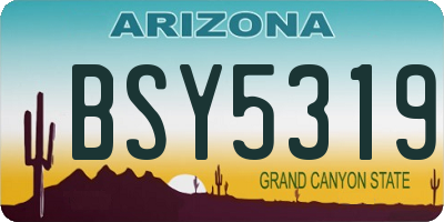 AZ license plate BSY5319