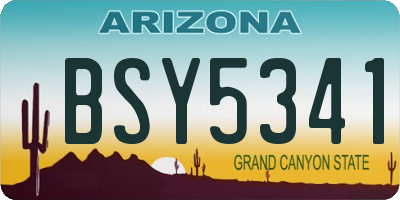 AZ license plate BSY5341