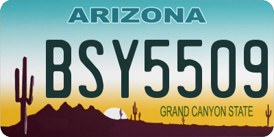 AZ license plate BSY5509