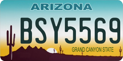 AZ license plate BSY5569