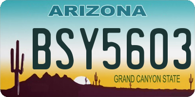 AZ license plate BSY5603
