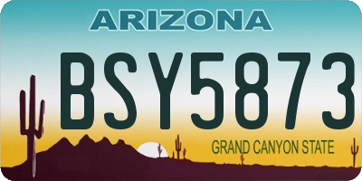 AZ license plate BSY5873