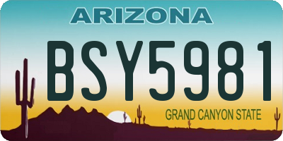 AZ license plate BSY5981