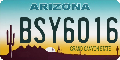AZ license plate BSY6016