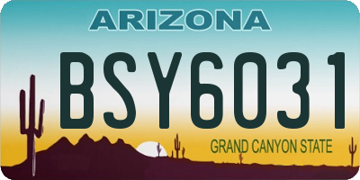 AZ license plate BSY6031