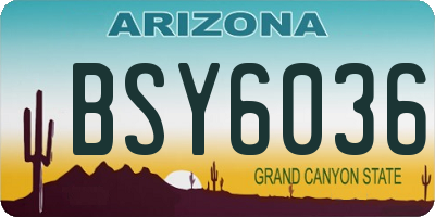 AZ license plate BSY6036