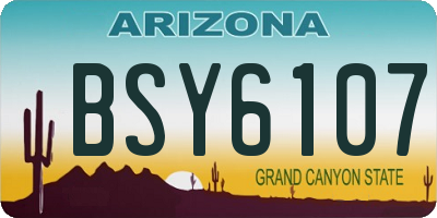 AZ license plate BSY6107
