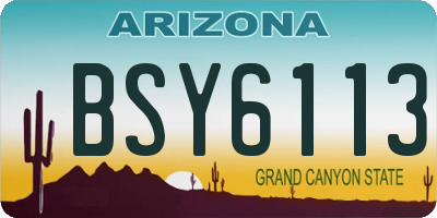 AZ license plate BSY6113