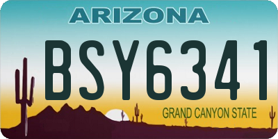 AZ license plate BSY6341