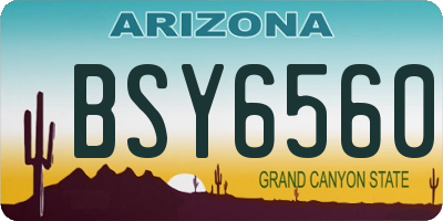 AZ license plate BSY6560