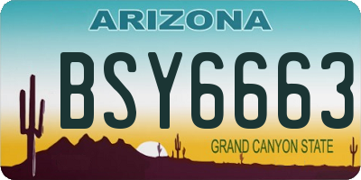 AZ license plate BSY6663