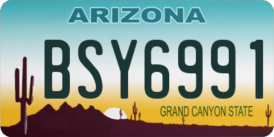 AZ license plate BSY6991