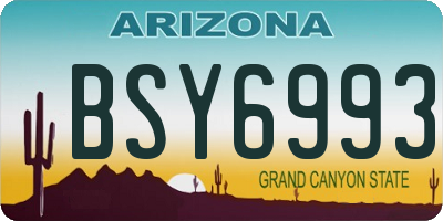 AZ license plate BSY6993