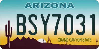 AZ license plate BSY7031