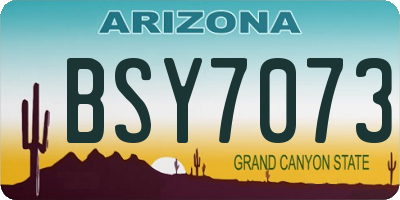 AZ license plate BSY7073