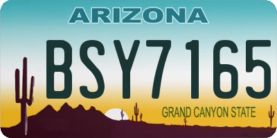 AZ license plate BSY7165