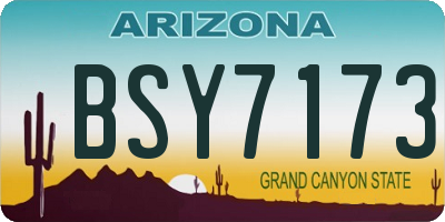 AZ license plate BSY7173