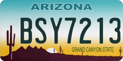 AZ license plate BSY7213