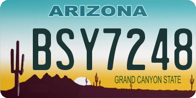 AZ license plate BSY7248