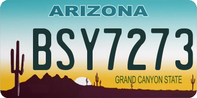 AZ license plate BSY7273