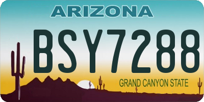 AZ license plate BSY7288