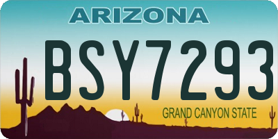 AZ license plate BSY7293