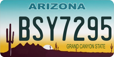 AZ license plate BSY7295