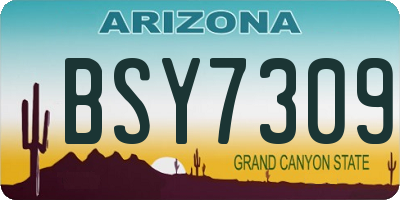AZ license plate BSY7309
