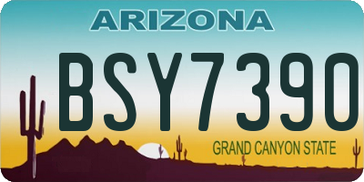 AZ license plate BSY7390