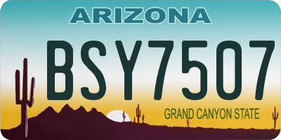 AZ license plate BSY7507