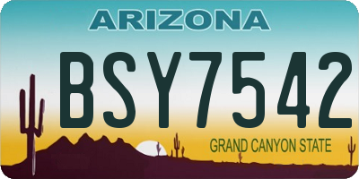 AZ license plate BSY7542
