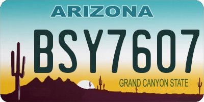 AZ license plate BSY7607