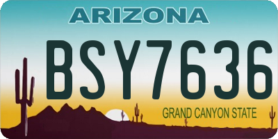 AZ license plate BSY7636