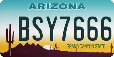 AZ license plate BSY7666