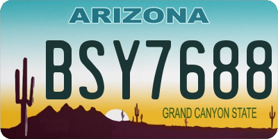 AZ license plate BSY7688