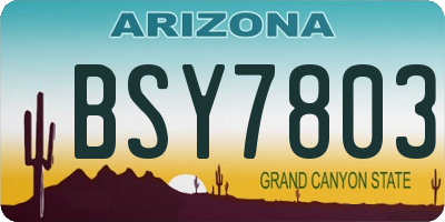 AZ license plate BSY7803
