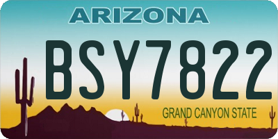 AZ license plate BSY7822