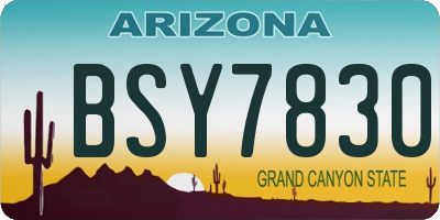 AZ license plate BSY7830